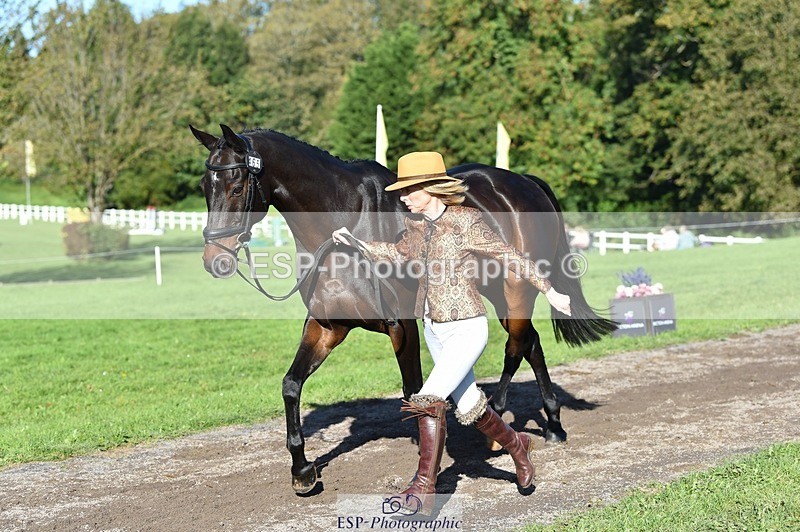 231022-111022-23777 - 465-LANGALLER.ALPHA.BRAVO-Cheryl.Beer-TrotUp+SJ