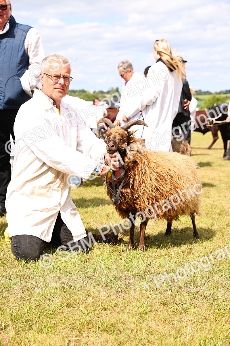 SBM_16982 - Grand Parade