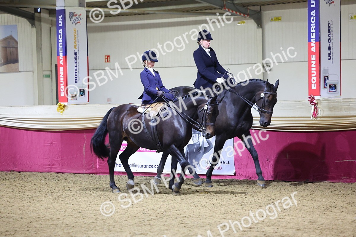 0B8A4300 - Class M Ridden Pairs Champ