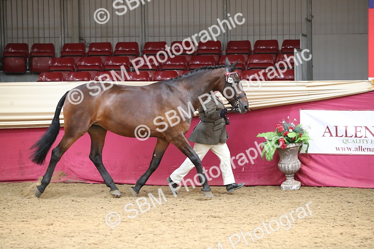 SBM_05254 - Class 8R - Regional IH Veteran
