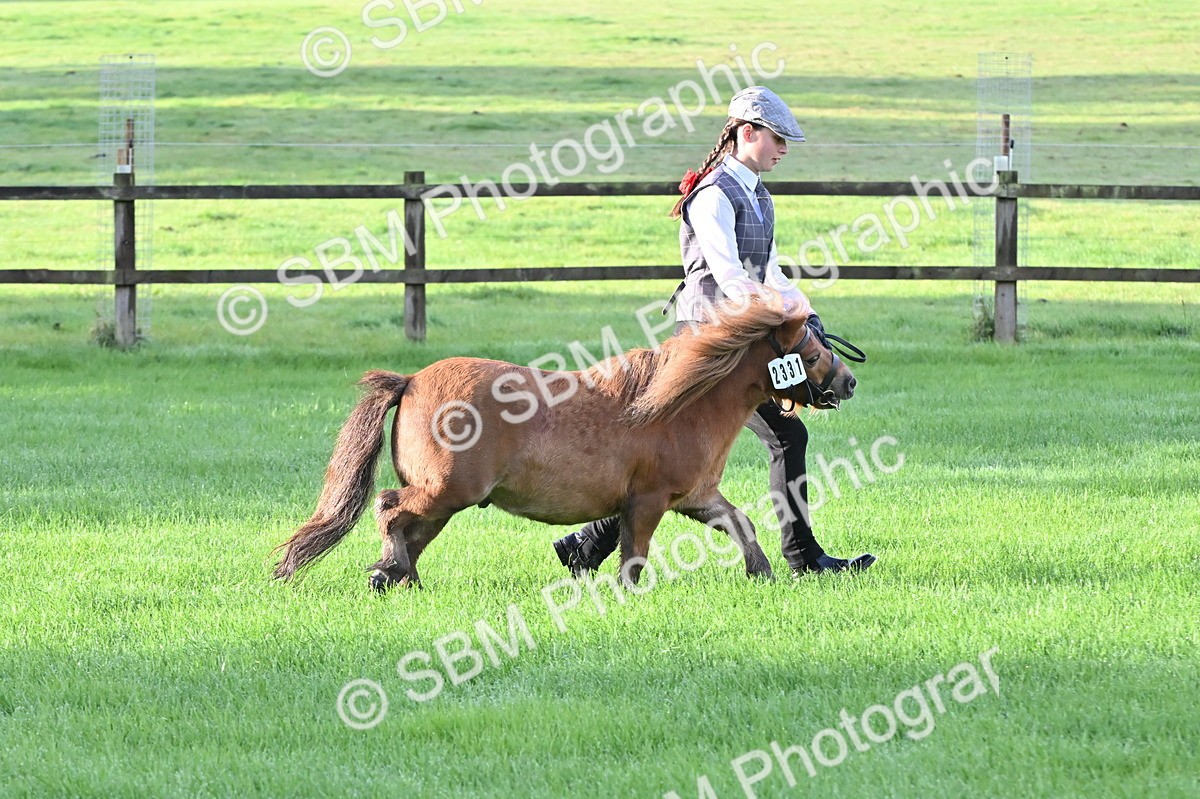 SBM_32573 - S15 - Top Turnout In Hand