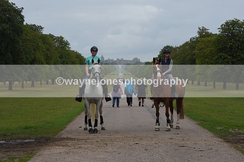 TT3_9540 - Time at Crossing 11:28 to 13:16