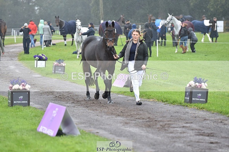 231018-121124-00124 - 021-DESTINY-Annie.Smith-TrotUp