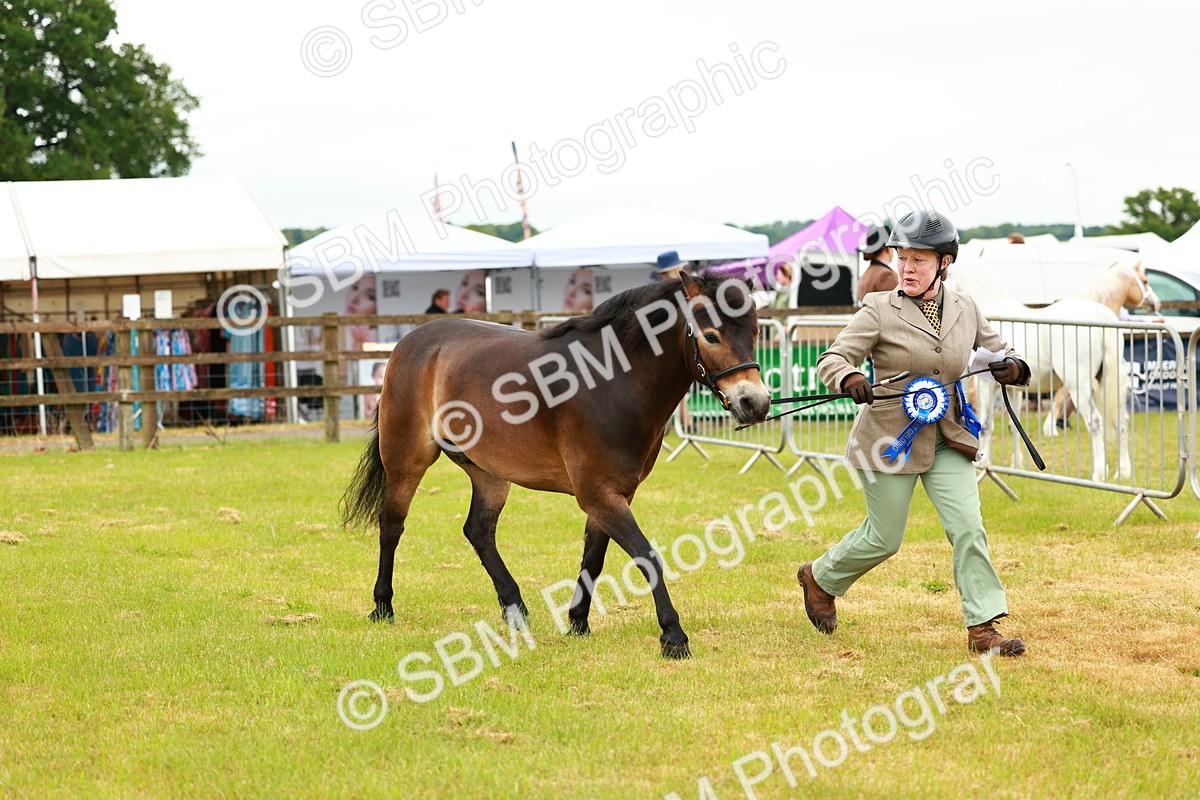 SBM_00335 - Class 58-67 - M&M Non Welsh Pony In hand