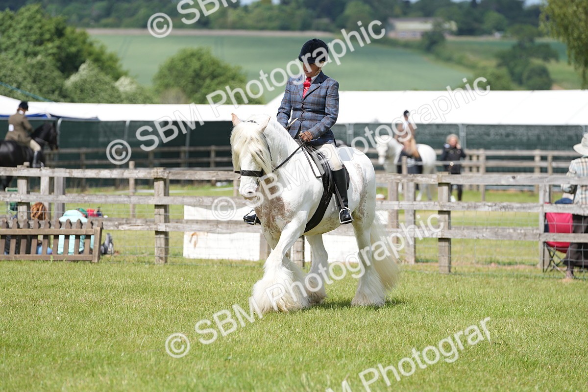 SBM_17181 - Class 107-108 - LIHS BSPS Performance Coloured Horse Pony