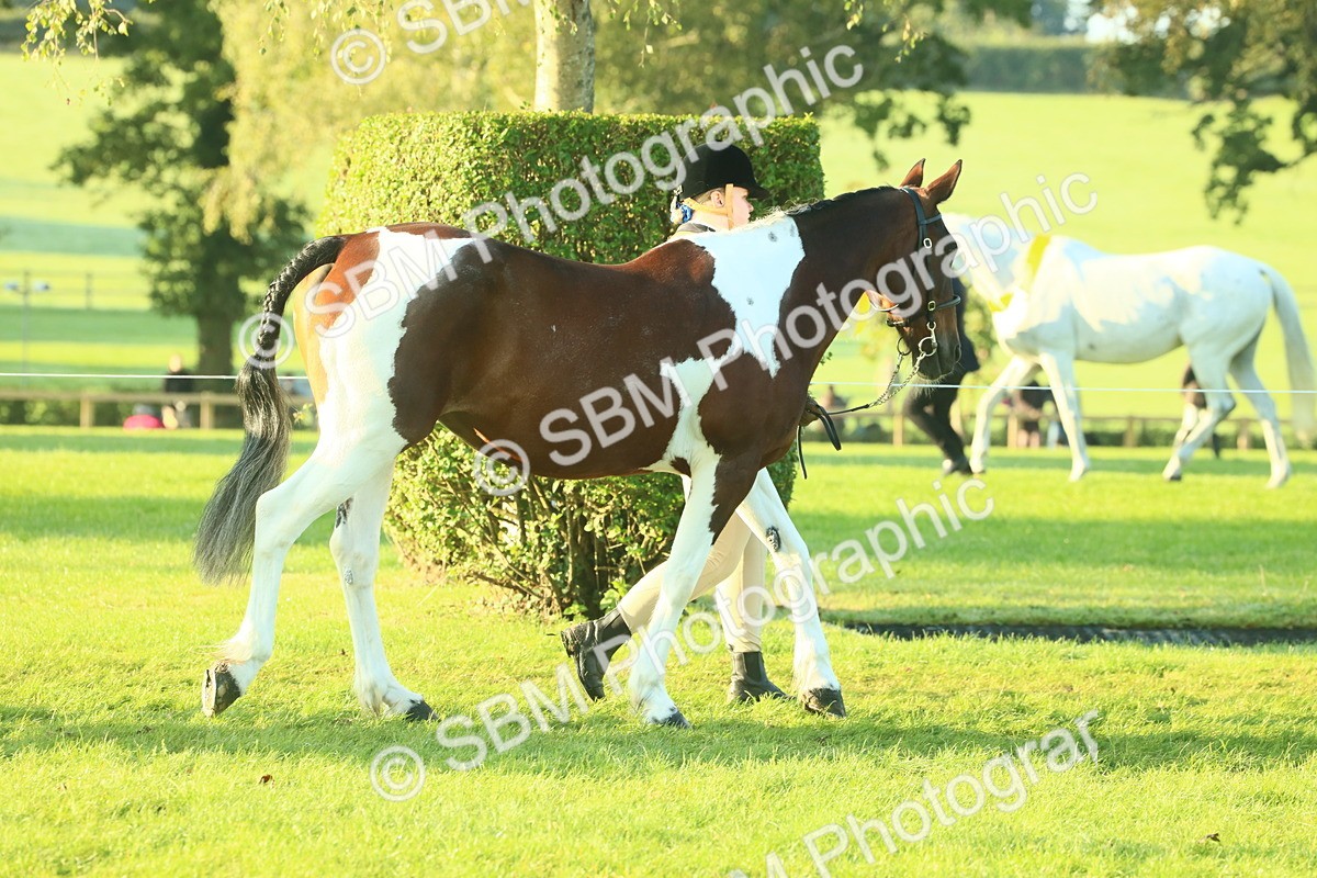 SBM_56780 - S36 - Starters Best Turnout