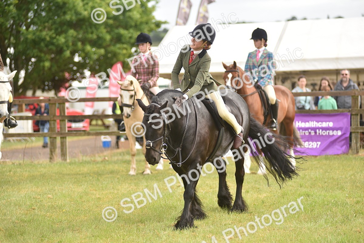 SBM_12053 - Class 110-112 - LIHS BSPS Performance Pones