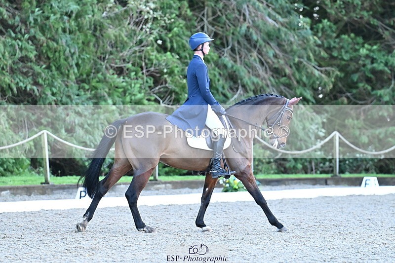 251023A-163918-05917 - A-017-Harrison.Chart