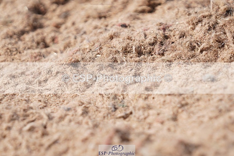 250621-155630-09619 - RoR Cls 4b-4c, Prelim