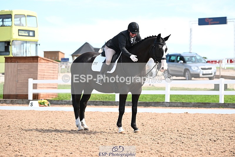 240816A-121931-04872 - 289-Rosey.Bradburn-High.Spirits.II