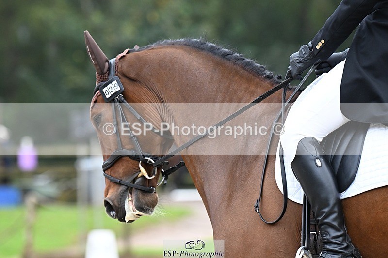 231019-112850-01819 - 039-LAUSANNE.W-Charlie.Ahl-DR