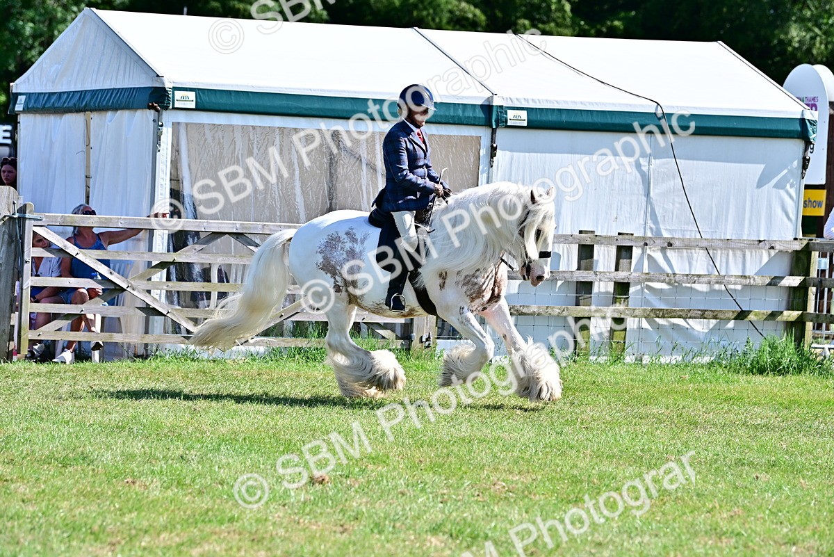 SBM_19395 - Class 101-102 - BSPS LIHS Performance Coloured Horse/Pony