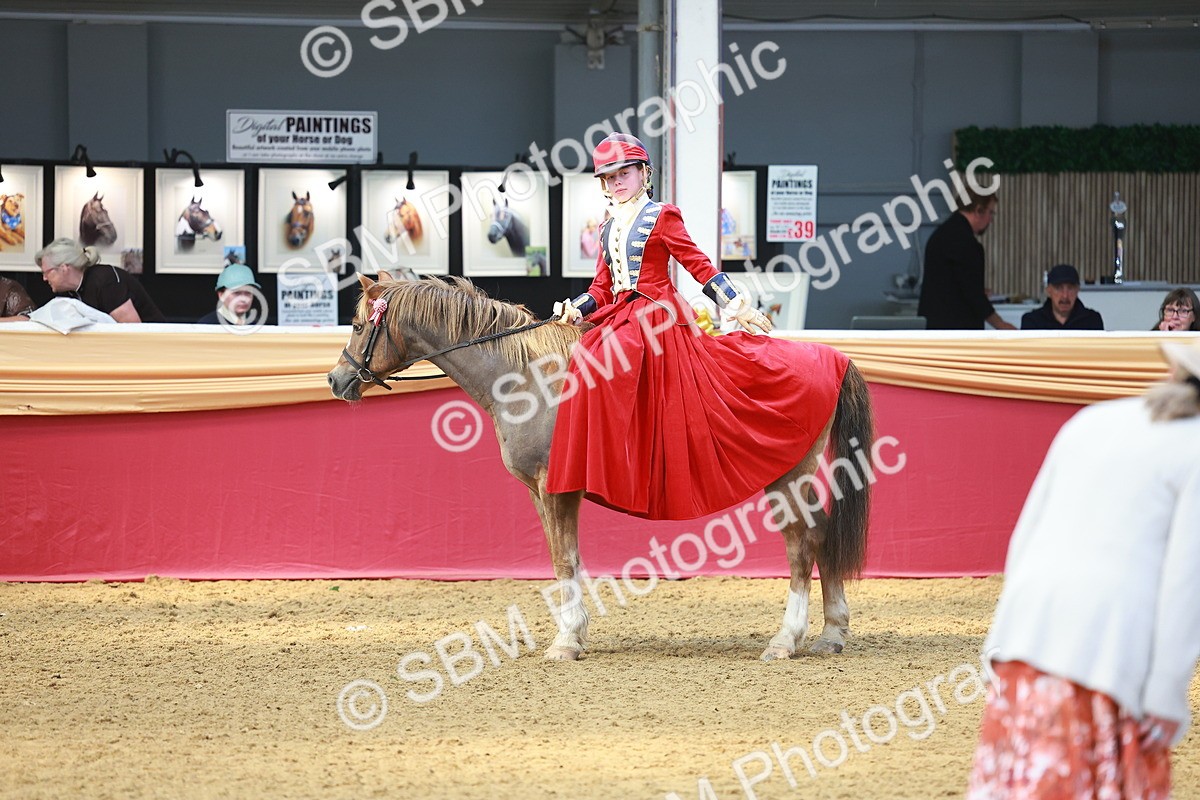 SBM_13788 - Class 105 - Ridden Costume - Astride Junior