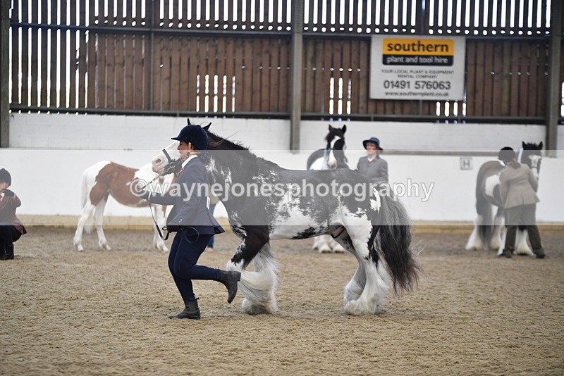 WJ5_4690 - Class 7 In hand coloured / odd coloured