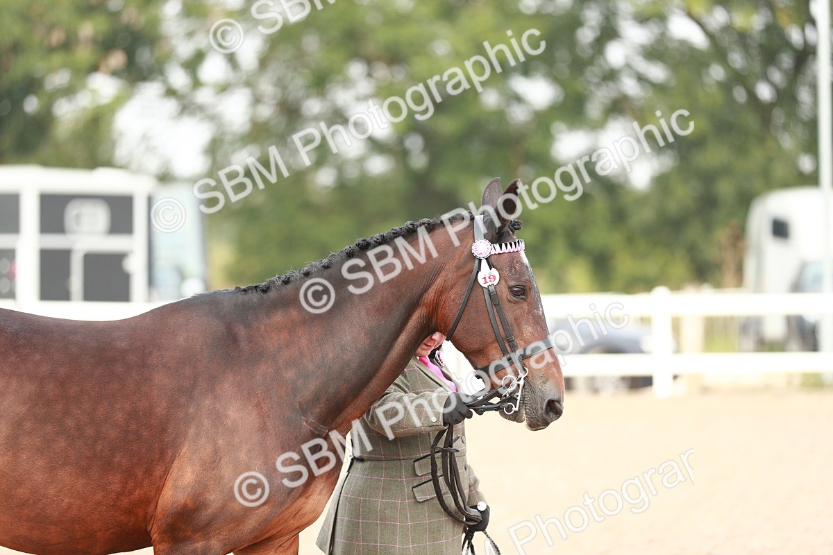 SBM_09473 - Class 201 Best Turned Out IH