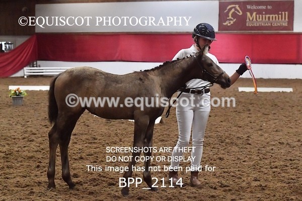 BPP_2114 - AFTERNOON 12.30 - 3.30PM