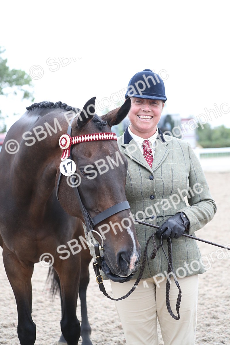 SBM_17984 - Class 317 IH Pure bred Horse/Pony