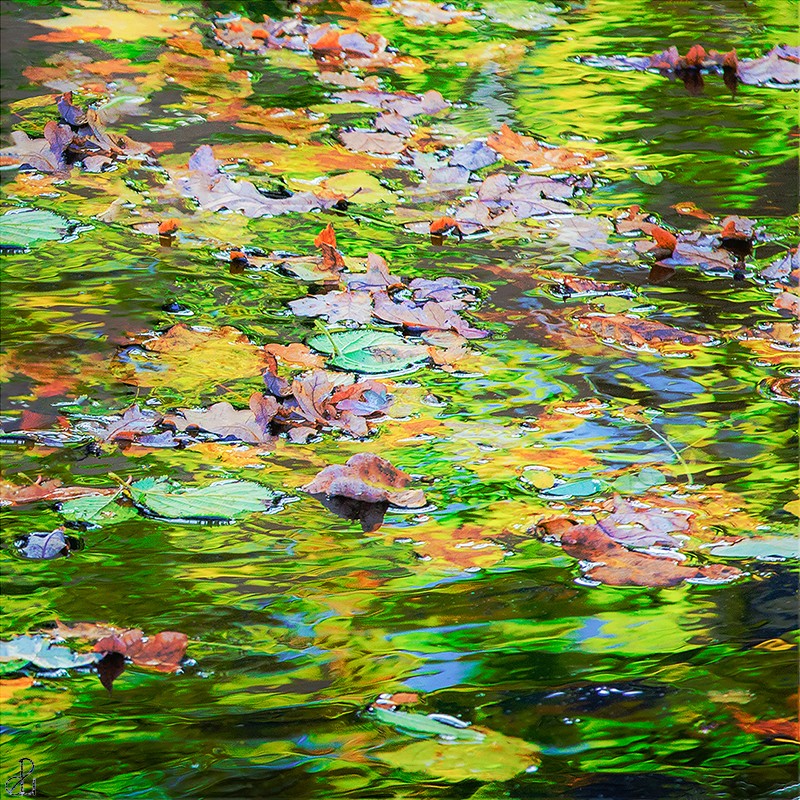 Abstract photography by Diana Uzun