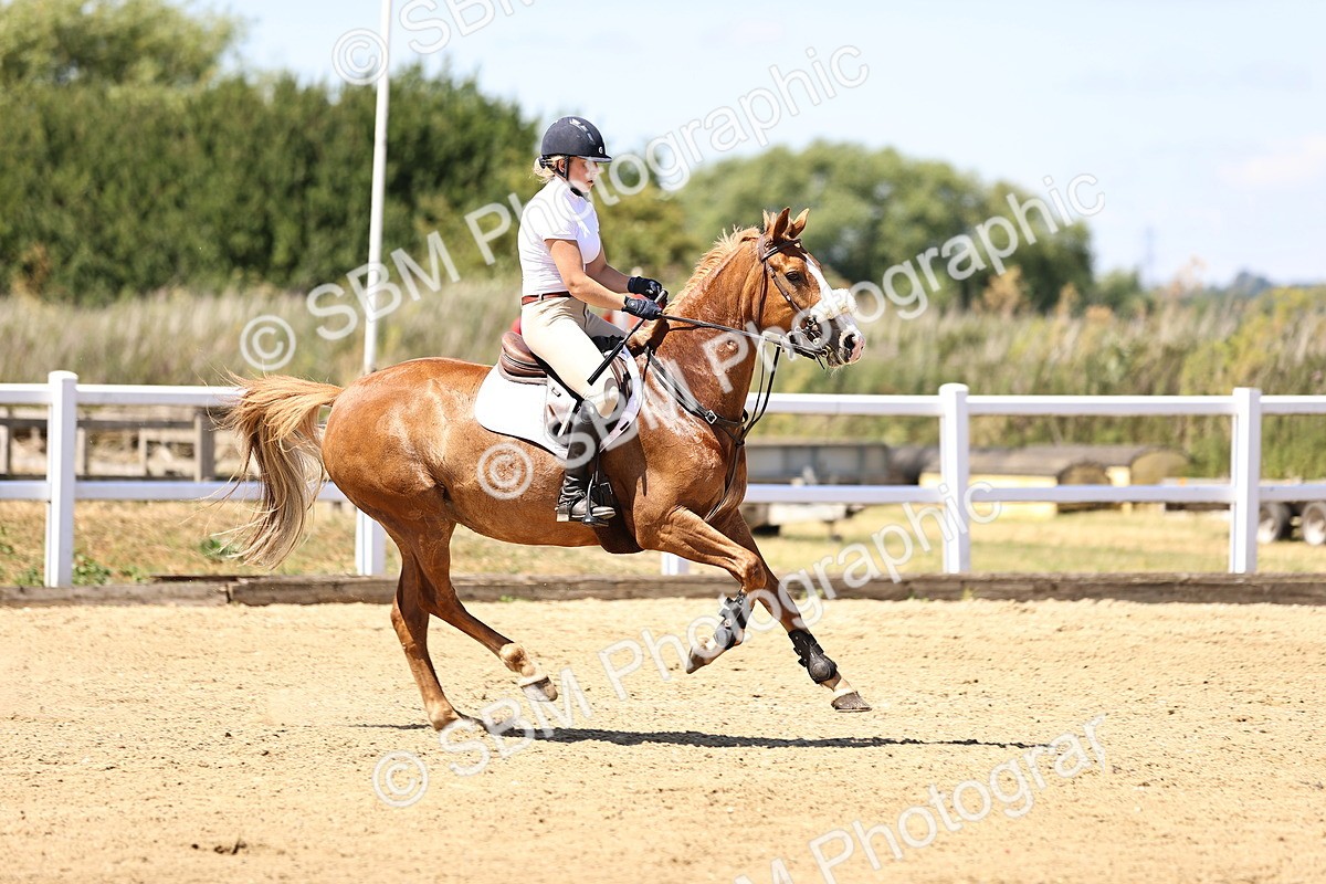 SBM_014496 - Class 15 - Senior Newcomers - 1.10m Open