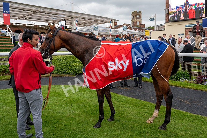 130626-Race 2-Extremely Zain-1748 - Race 2 14.25pm Sky Bet Supporting Macmillan Handicap