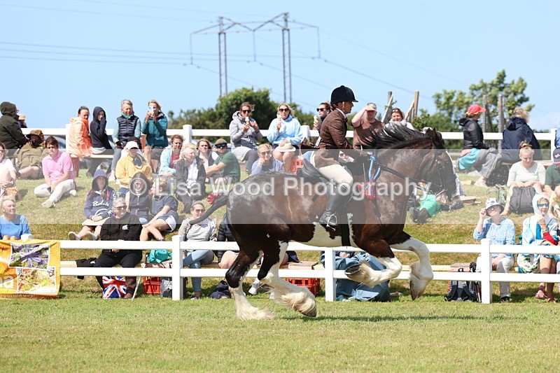 3E7A2904 - Class 13: Heavy Horse Ridden