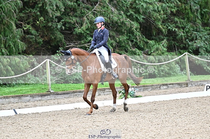 251022A-145007-00141 - C-206-Madison.Tapner