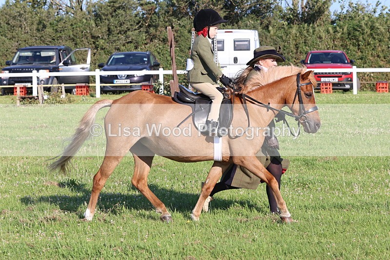 JPP_0763 - Class 16: Cornish Combination Leading Rein