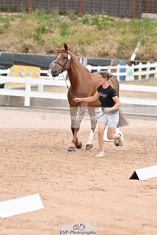 250716-143055-01152 - Trot Up 2.30 to 3.30