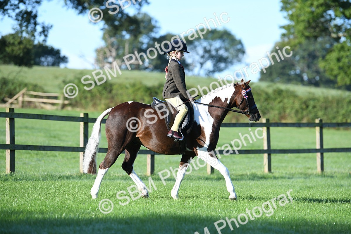 SBM_33947 - S16 - Condition & Turnout - Ridden