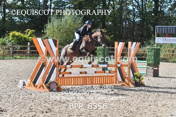 BPP_6356 - CLASS 5 Veteran Champion of Scotland