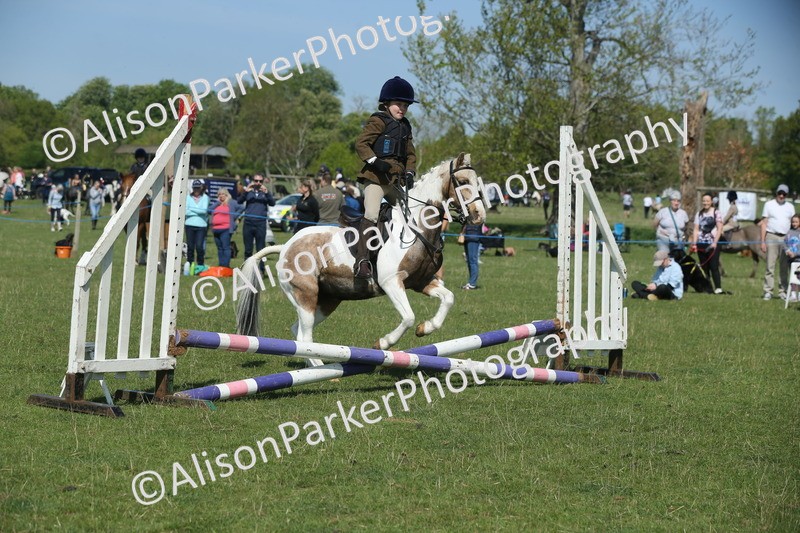 20250427-1884 - Class 2 - Mini Jumping 30cm