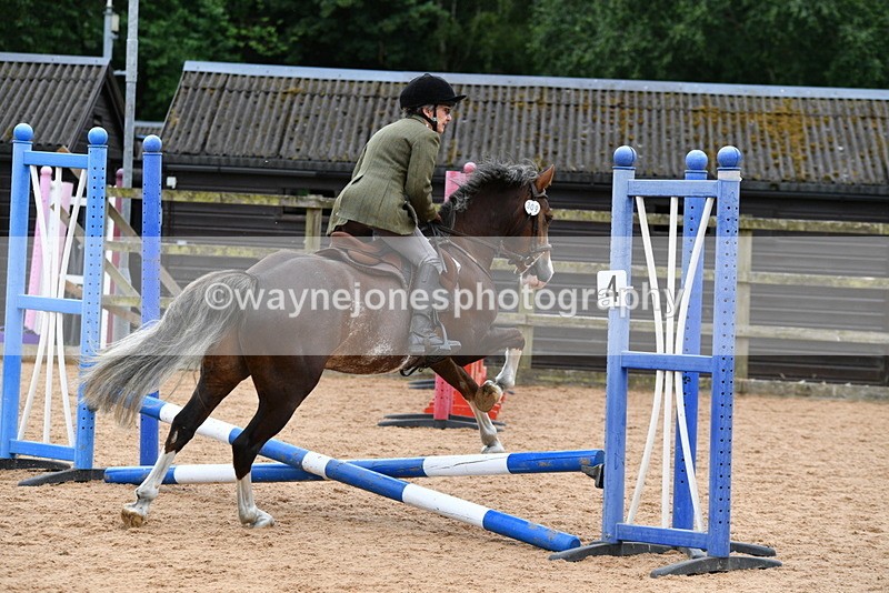 WJ5_6291 - Club 50cm