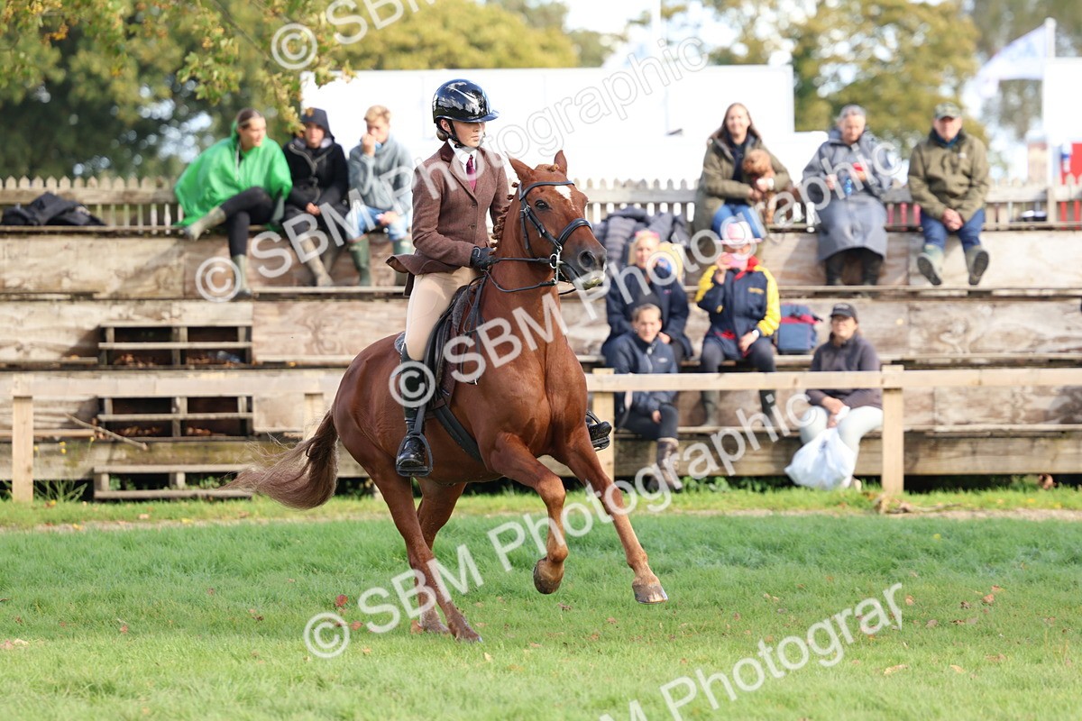 SBM_47776 - S28 - Veteran Ridden