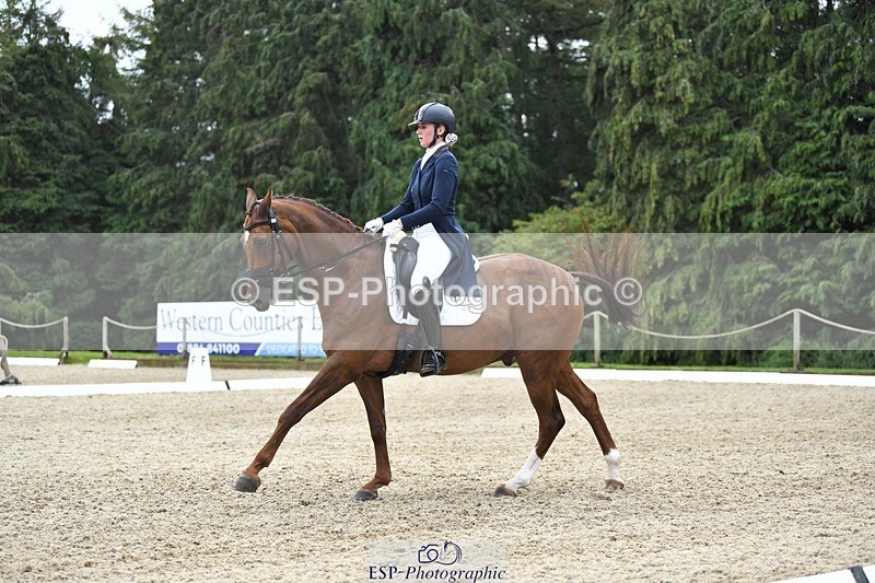 230812-141143-04629 - Cls 7 FEI PSG Bronze