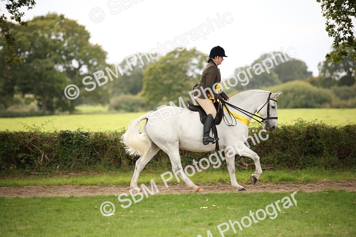 SBM_72409 - S67 - Show Cob Ridden