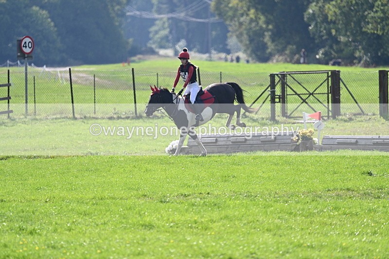 WJ7_4890 - 60cm Time 11:11 to 11:19