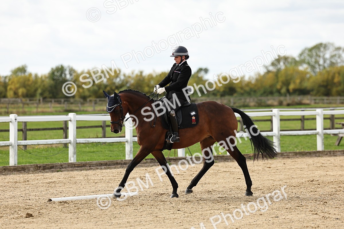 SBM_004954 - Class 73 - Medium 2