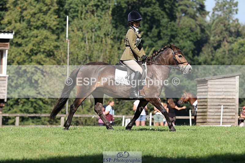 250823A-103011-27715 - Arena D