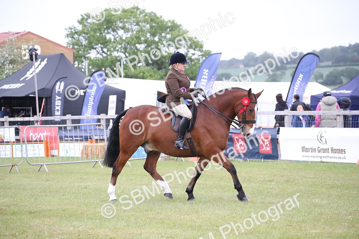 SBM_11368 - Class 92-93 - LIHS BSHA Rising Star Cobs
