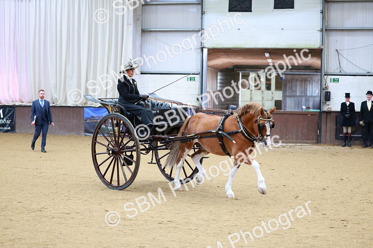 SBM_000029 - Class 1 - Non Hackney Private Drive 13.2hh and Under