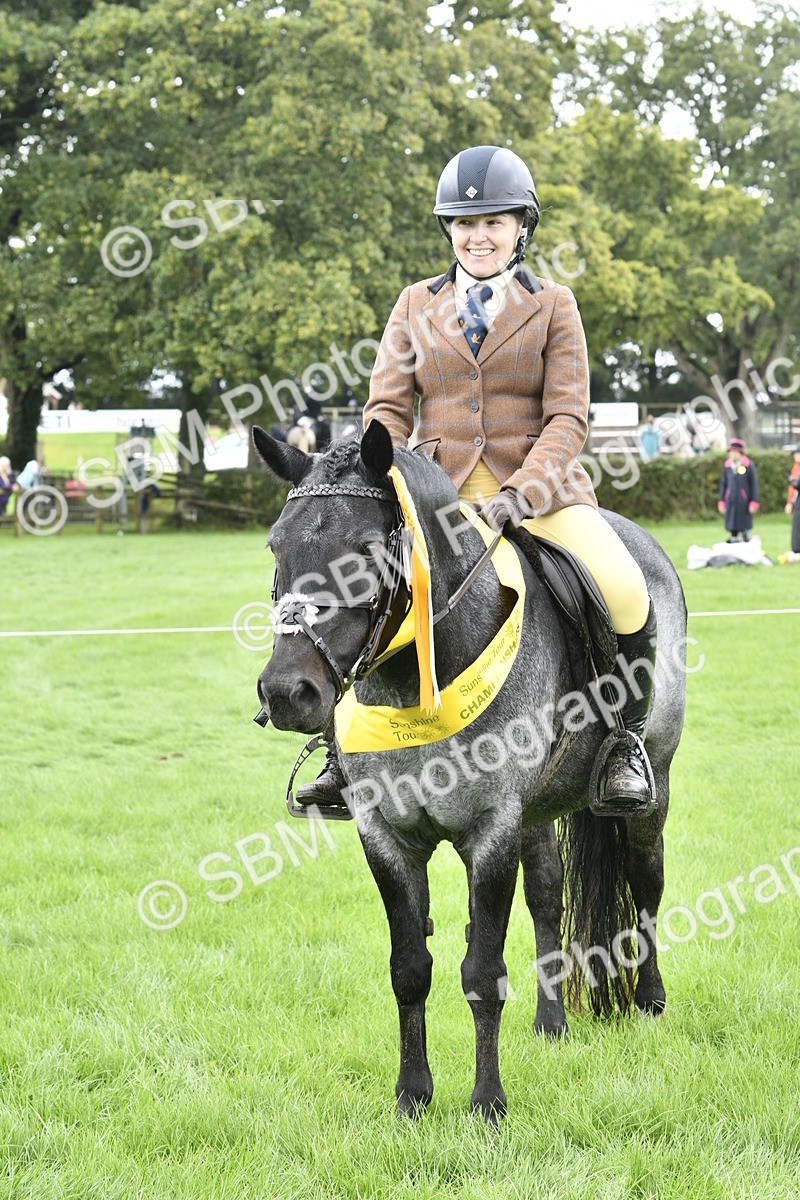 SBM_38279 - S31 - Novice & Newcomer Working Hunter Pony