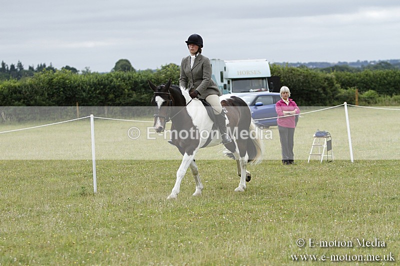 BVR160717-159 - Ring 3 BVRC Show 16/07/17