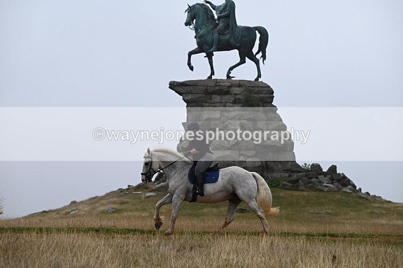 DSC_1503 - Time at Statue 11:54 to 12:12