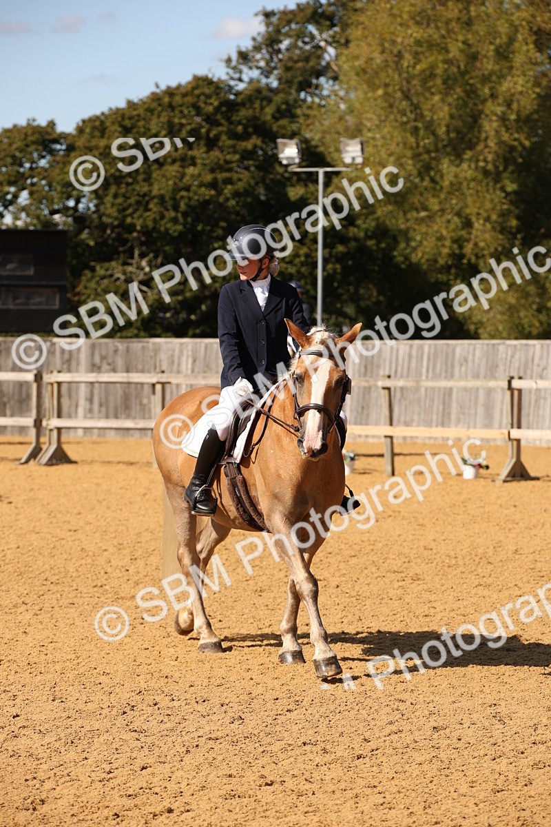 SBM_24249 - D5 - Small Tour Championship - Intro C
