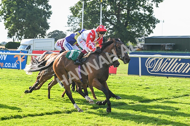 020825-Race 8-Dandy Dinmont-3912 - Race 8