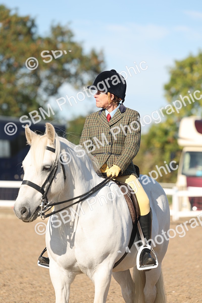 SBM_11078 - Class 302 - Ridden M&M Large Breeds