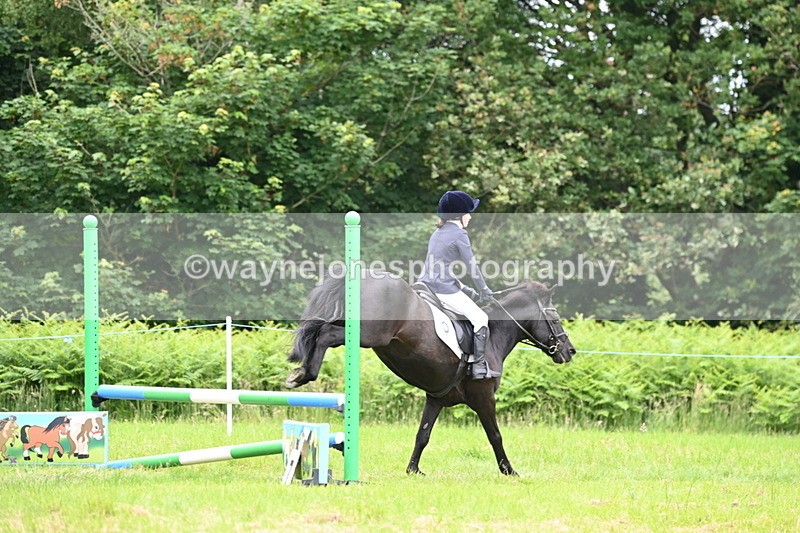 WJ6_5528 - Class 5 pairs 70cm