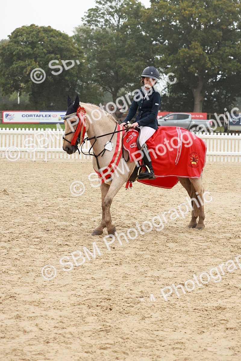 SBM_73525 - Supreme Championship Junior Pony 60cm & 65cm