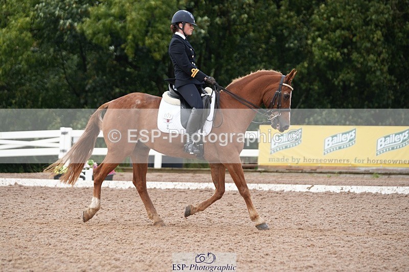 250907-153628-09582 - 122-India.JohnGrayswood.Orlando