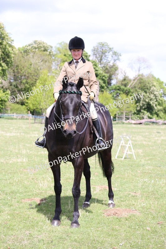 20250427-4108 - Class 34 - Best Riding Horse Over 14.2hh